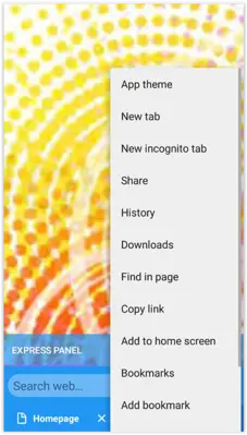 Ujjawal Browser android App screenshot 2